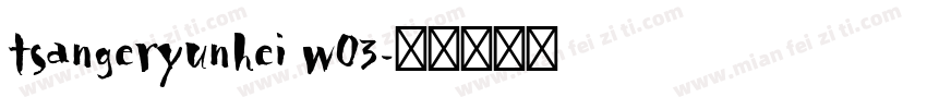 tsangeryunhei w03字体转换